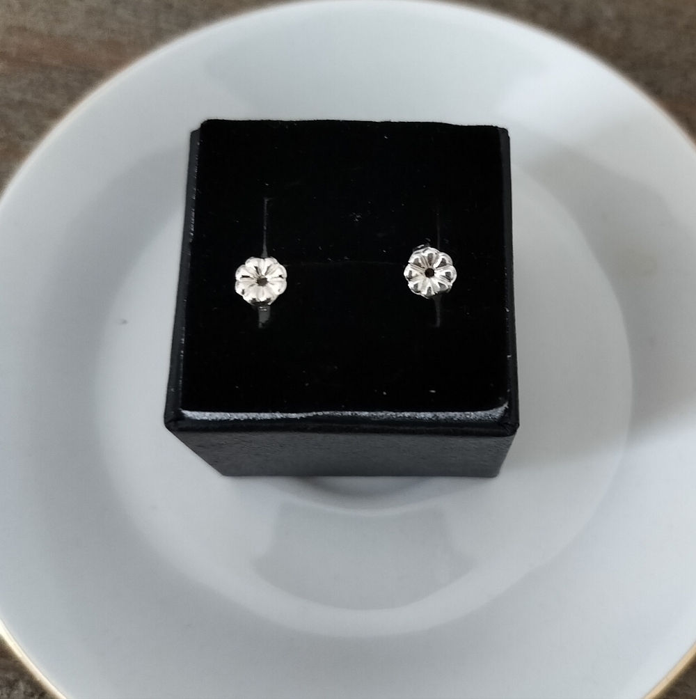 Tiffany & Co. Back Earrings 925 Sterling Silver